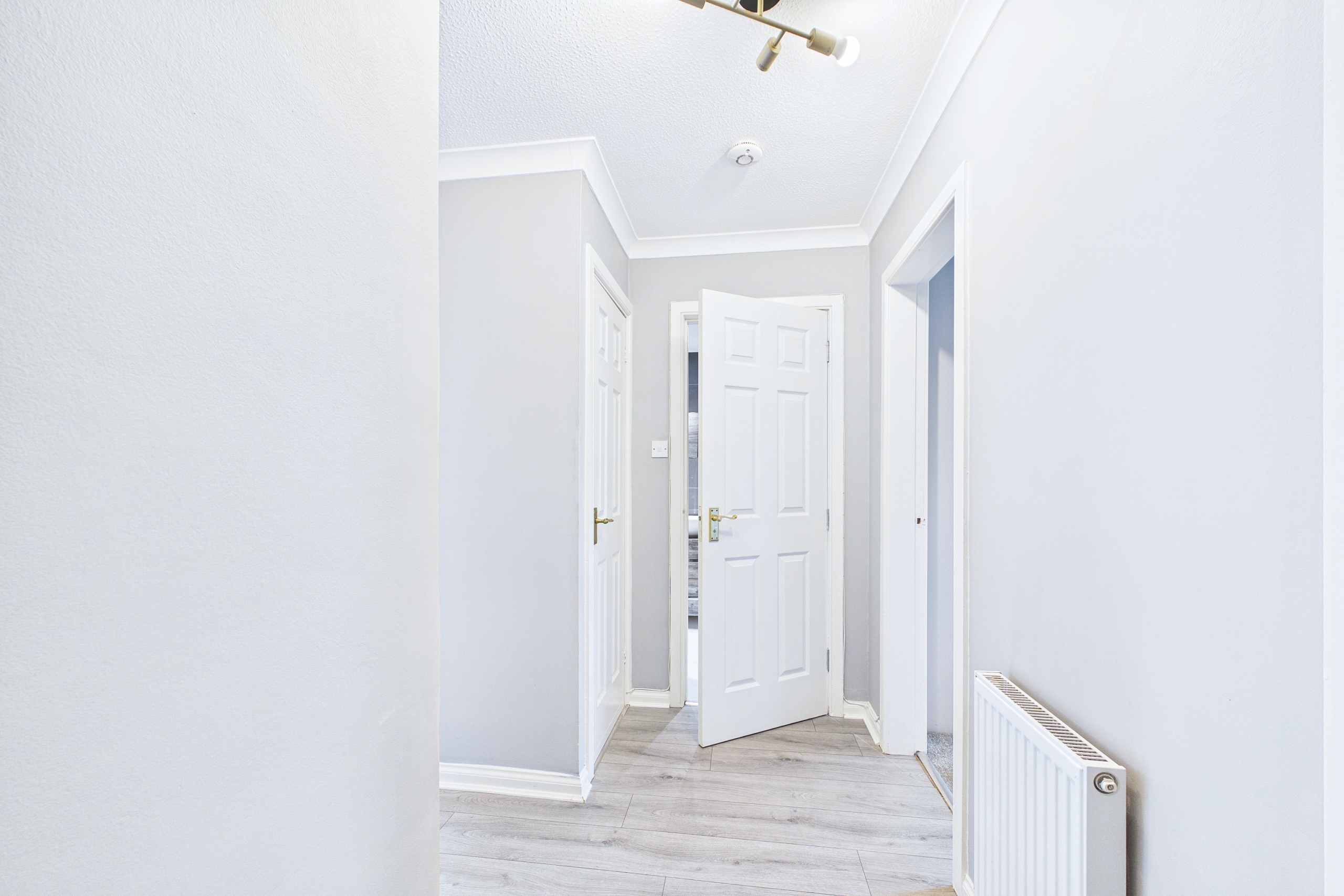 one bedroom flat to let in paisley
